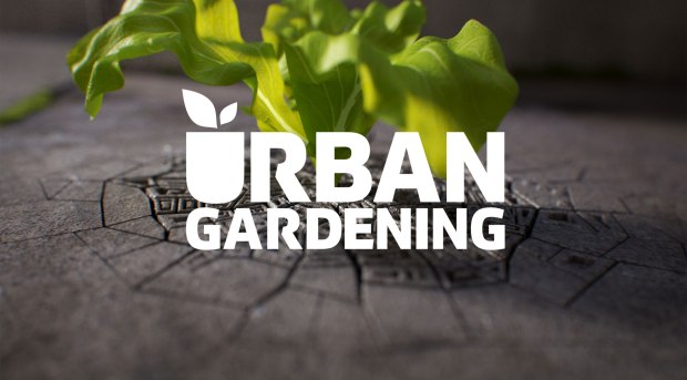 UrbanGardening_zugeschnitten