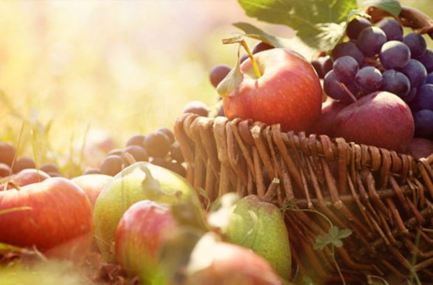 fruechtekorb-727x480